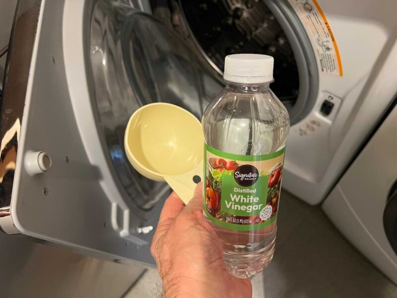 adding white vinegar to wash