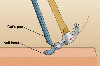 pulling-nail-cats-paw